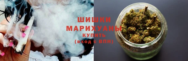 ПСИЛОЦИБИНОВЫЕ ГРИБЫ Коряжма