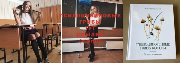 герыч Магас
