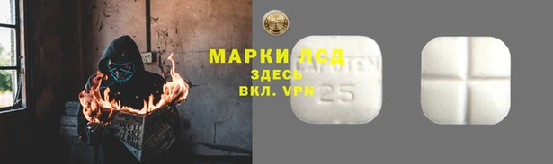 ПСИЛОЦИБИНОВЫЕ ГРИБЫ Коряжма