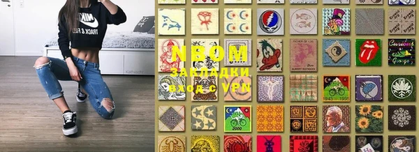 крисы Кулебаки