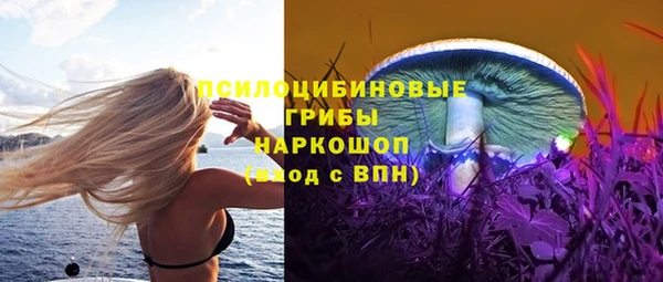 ПСИЛОЦИБИНОВЫЕ ГРИБЫ Коряжма