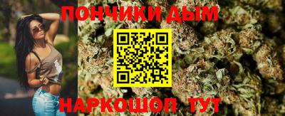 индика Волгодонск