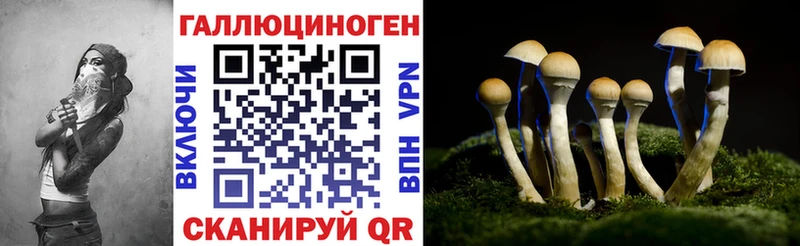 Псилоцибиновые грибы Magic Shrooms  Кисловодск 