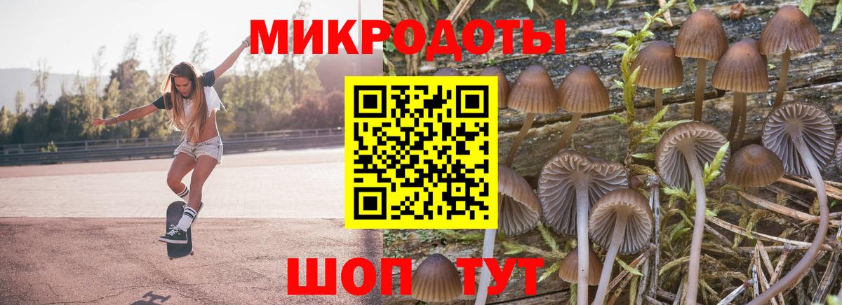 Галлюциногенные грибы Cubensis  Вход с VPN  Кисловодск 