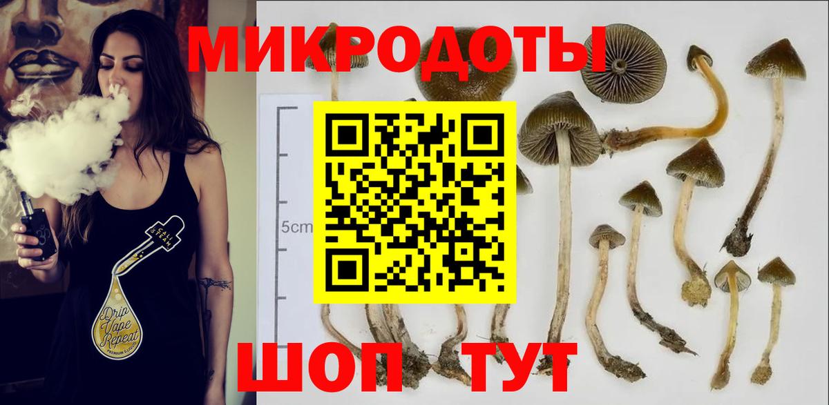 Псилоцибиновые грибы мухоморы Кисловодск
